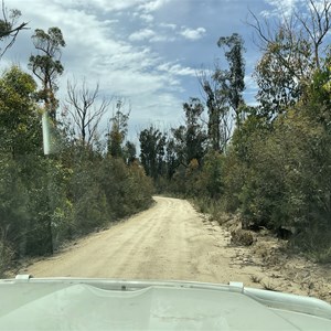 Scrubby Creek Forest Picnic Area