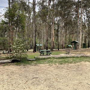 Scrubby Creek Forest Picnic Area