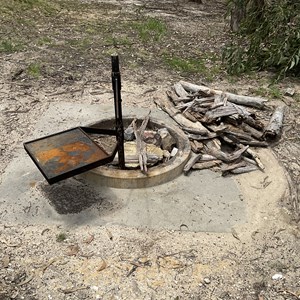 Scrubby Creek Forest Picnic Area