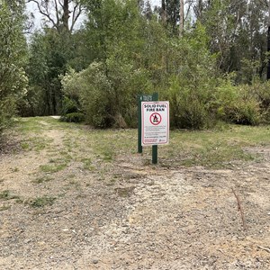 Scrubby Creek Forest Picnic Area