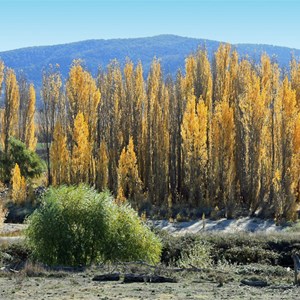 Numeralla River Rest Area