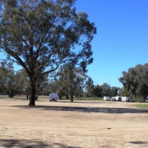 View of part of the Barcoo River Camping Area