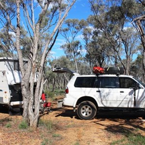 Parked among the trees