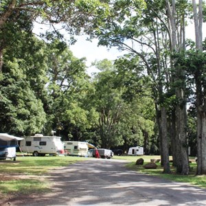 Shaded camping area