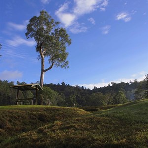 View up the slope from the Creek