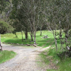 Entrance track