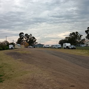 Nobby Town Park