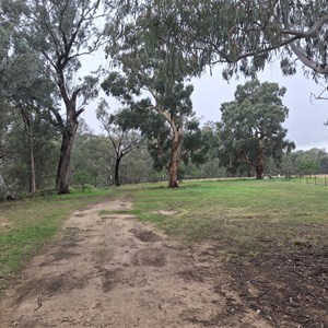 Billabong Creek