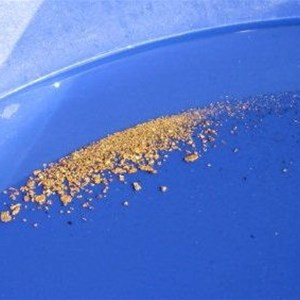 Gold from Glendon's Camping Ground