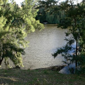 Macquarie River near Ponto falls