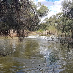 Willandra Campground