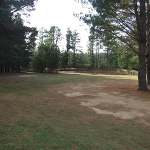 Dalys Clearing Campground, Belanglo State Forest