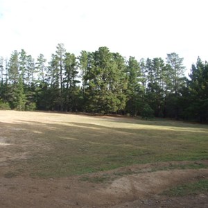 Dalys Clearing Campground, Belanglo State Forest