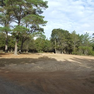 Dalys Clearing Campground, Belanglo State Forest