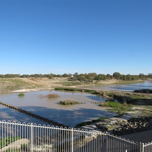 Darling River east of campgrounds 