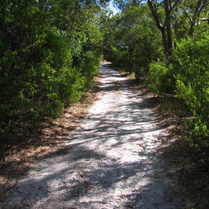 Track conditions at Cable junction box