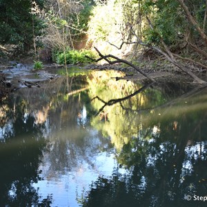 Cool Waters Caravan Park