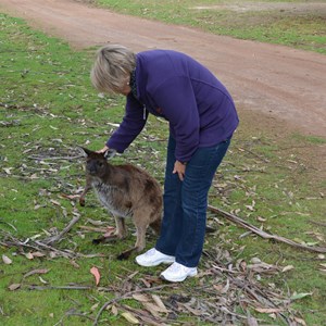 Western KI Caravan Park & Wildlife Reserve