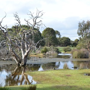 Western KI Caravan Park & Wildlife Reserve