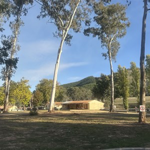 Camp Crusty