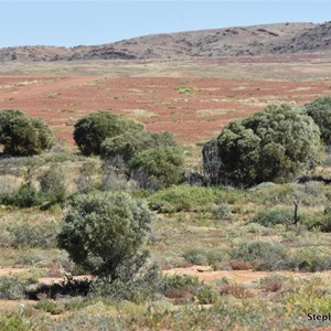 Oodnadatta Track - William Ck to Oodnadatta