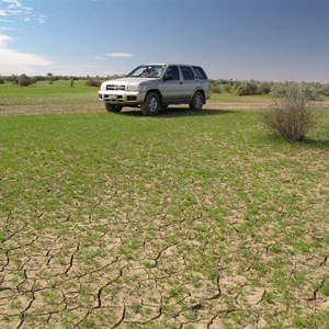 About a km east of creek May 09