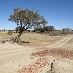 A tinge of green in the creekbed.