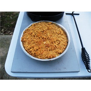Apple and Custard Crumble