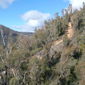 Scrubby Creek Track