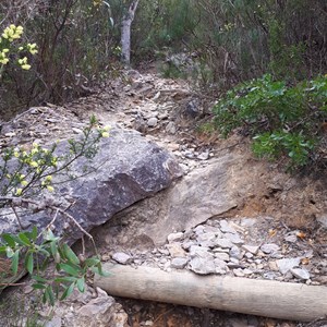 Typical section of the trail