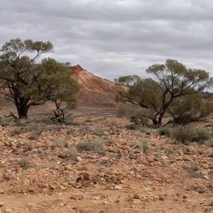 Gidgee, Painted Desert, SA