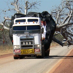 Boab en route to Kings Park in 2008