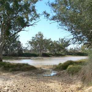 Rounded lignum bushes line Cullyamurra waterhole, SA