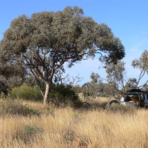 Marble Gum, Connie Sue Highway, WA