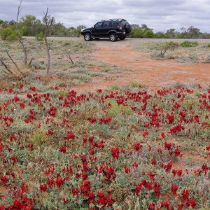 Colours of Roxby Downs - South Australia