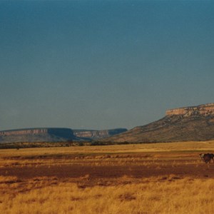 Cockburn Range